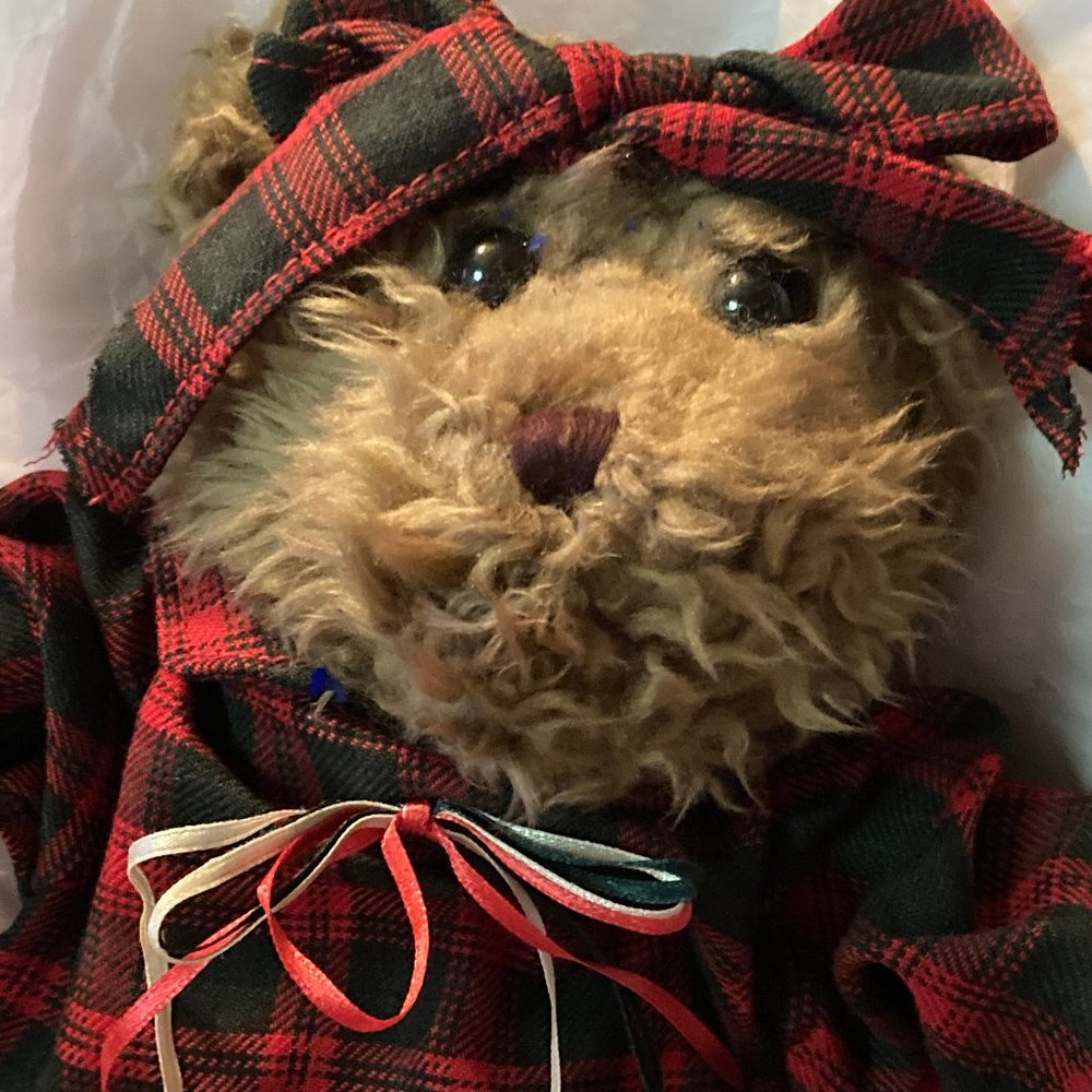 GIRL BEAR IN HER NIGHT SHIRT CUTE GIFT NEW BEAR